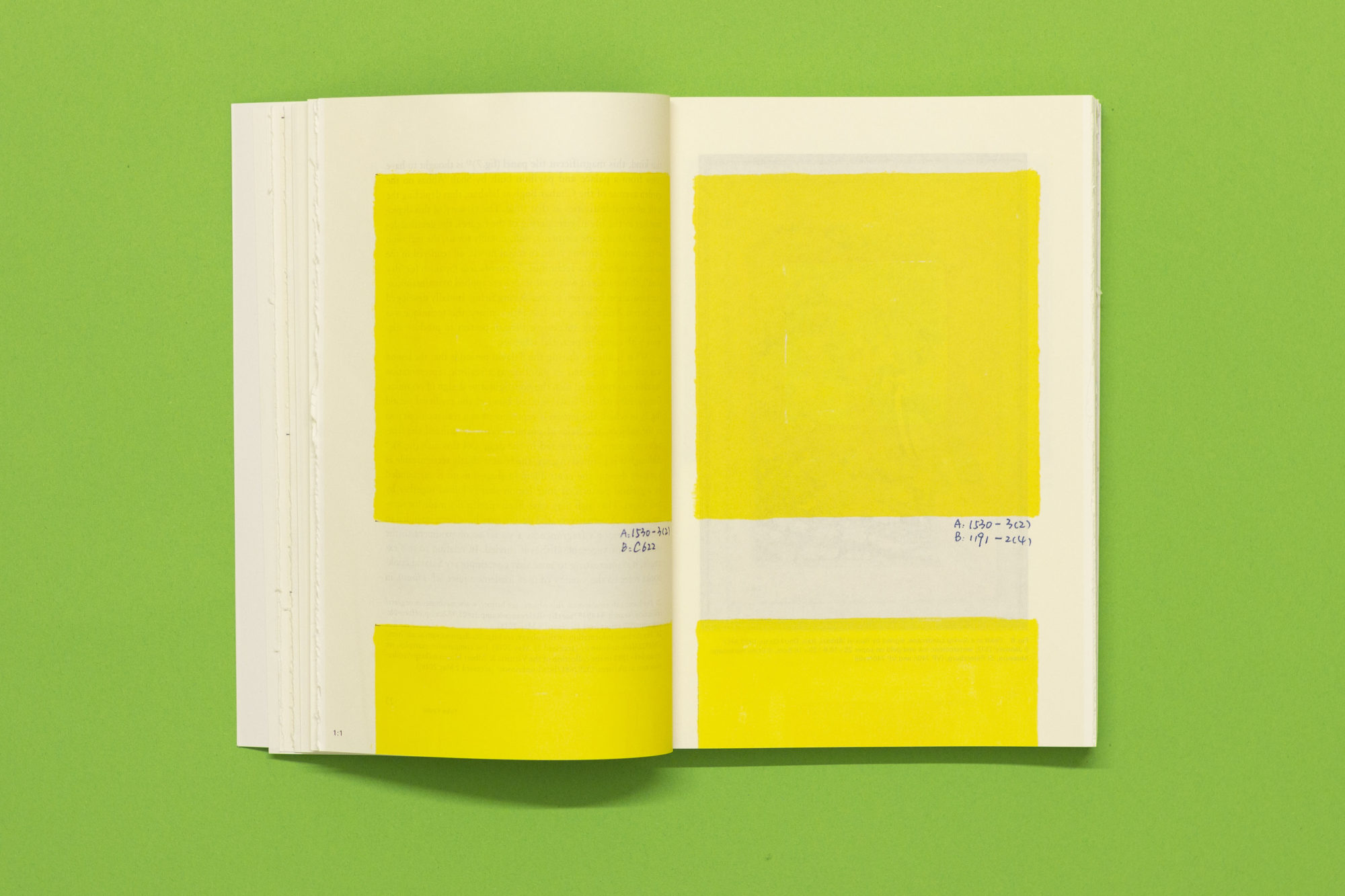 Xe Xiangyu Yellow Book