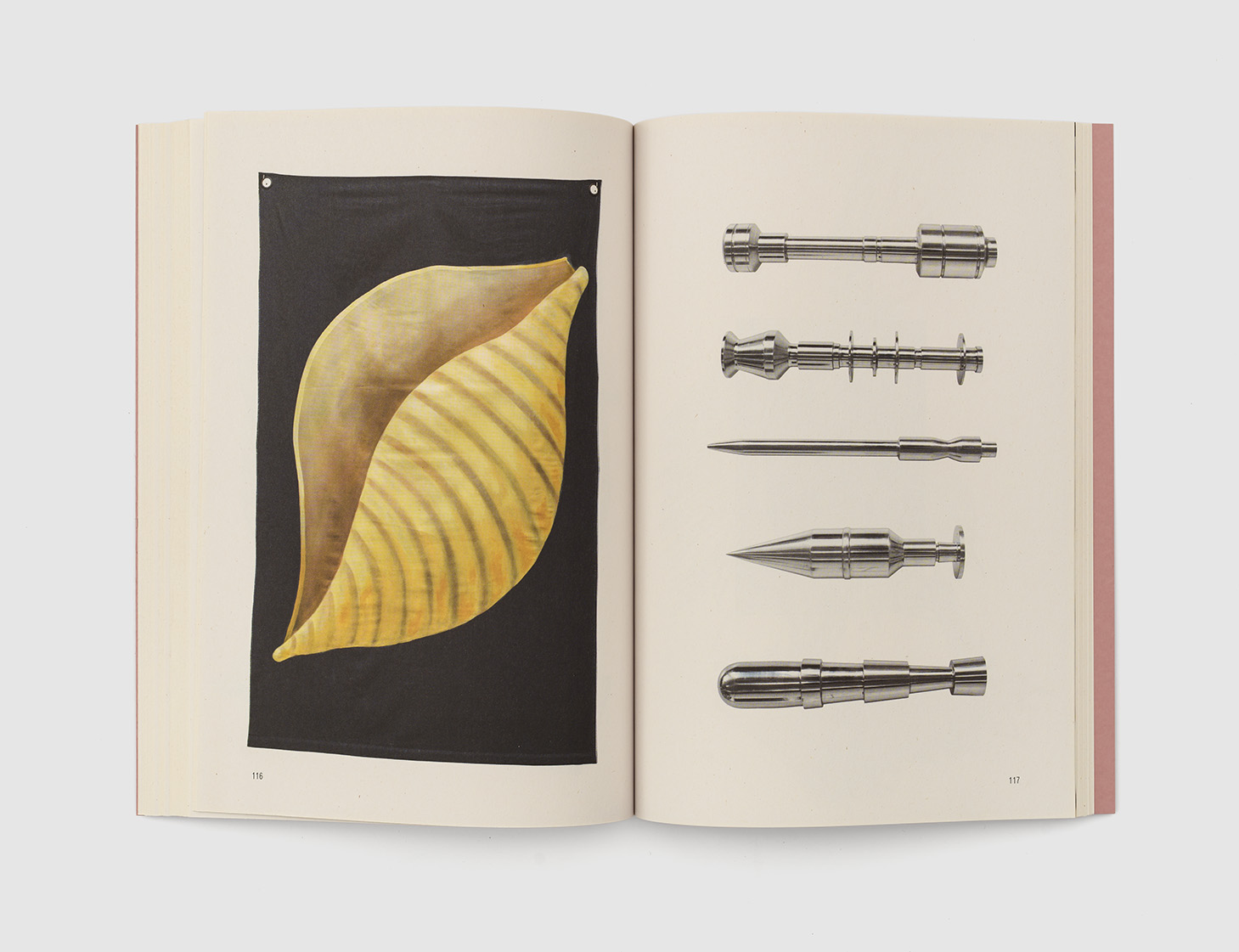Inner pages showing a shell painted on linen on the left and longish objects out of metal on the right
